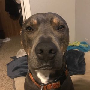 Meet your Posher, Wes